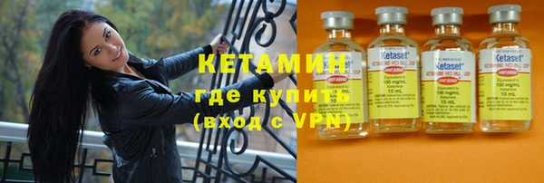 гидра Абаза