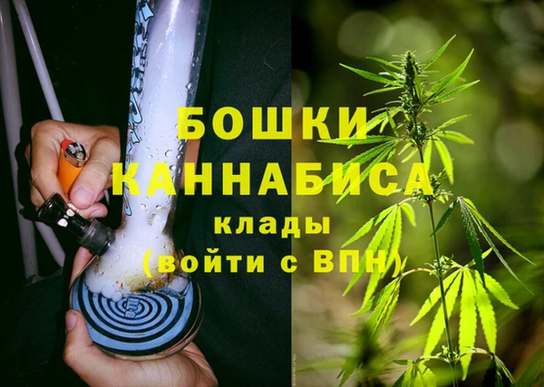 гидра Абаза