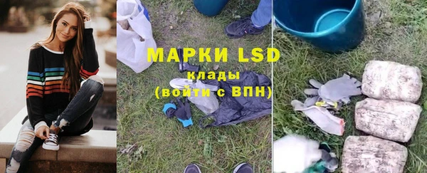 гидра Абаза