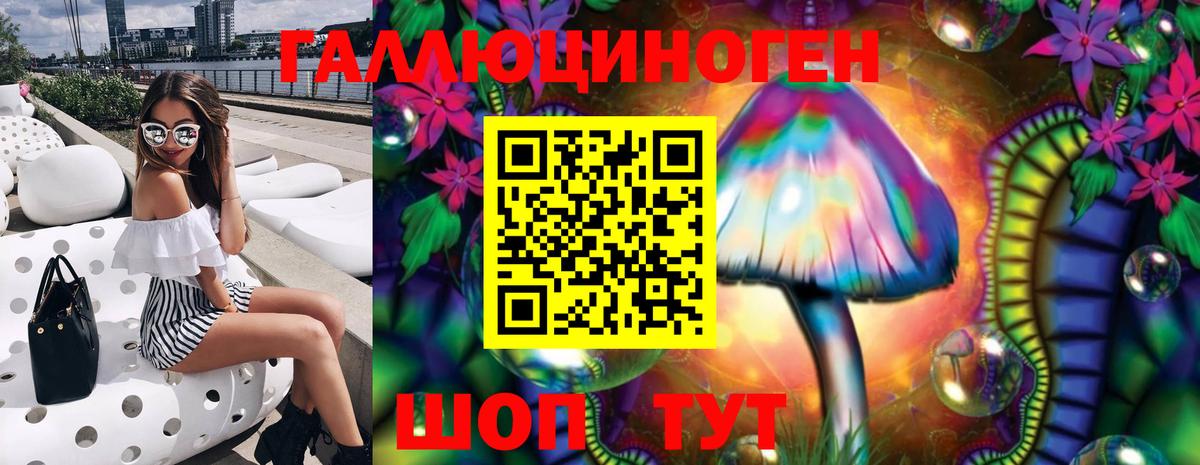 Псилоцибиновые грибы Psilocybine cubensis Алейск
