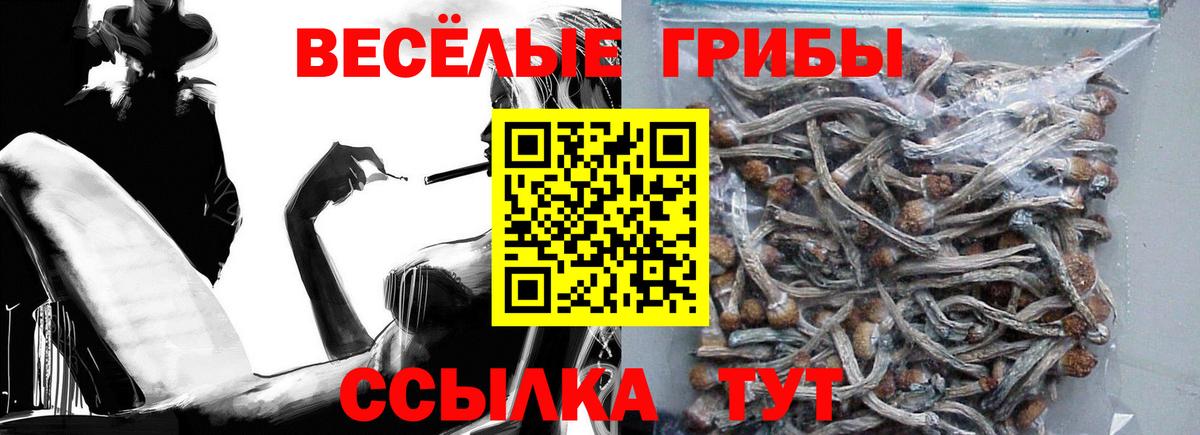 Галлюциногенные грибы мухоморы  закладки  Алейск  Галлюциногенные грибы мухоморы  Вход с VPN 